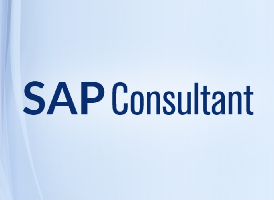 SAP CONSULTANT (MM) - Tháng 2/2022