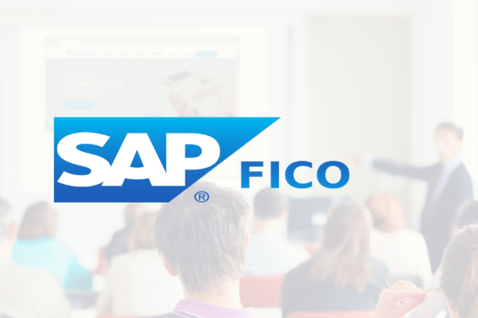 SAP FICO CONSULTANT - THÁNG 10/2022